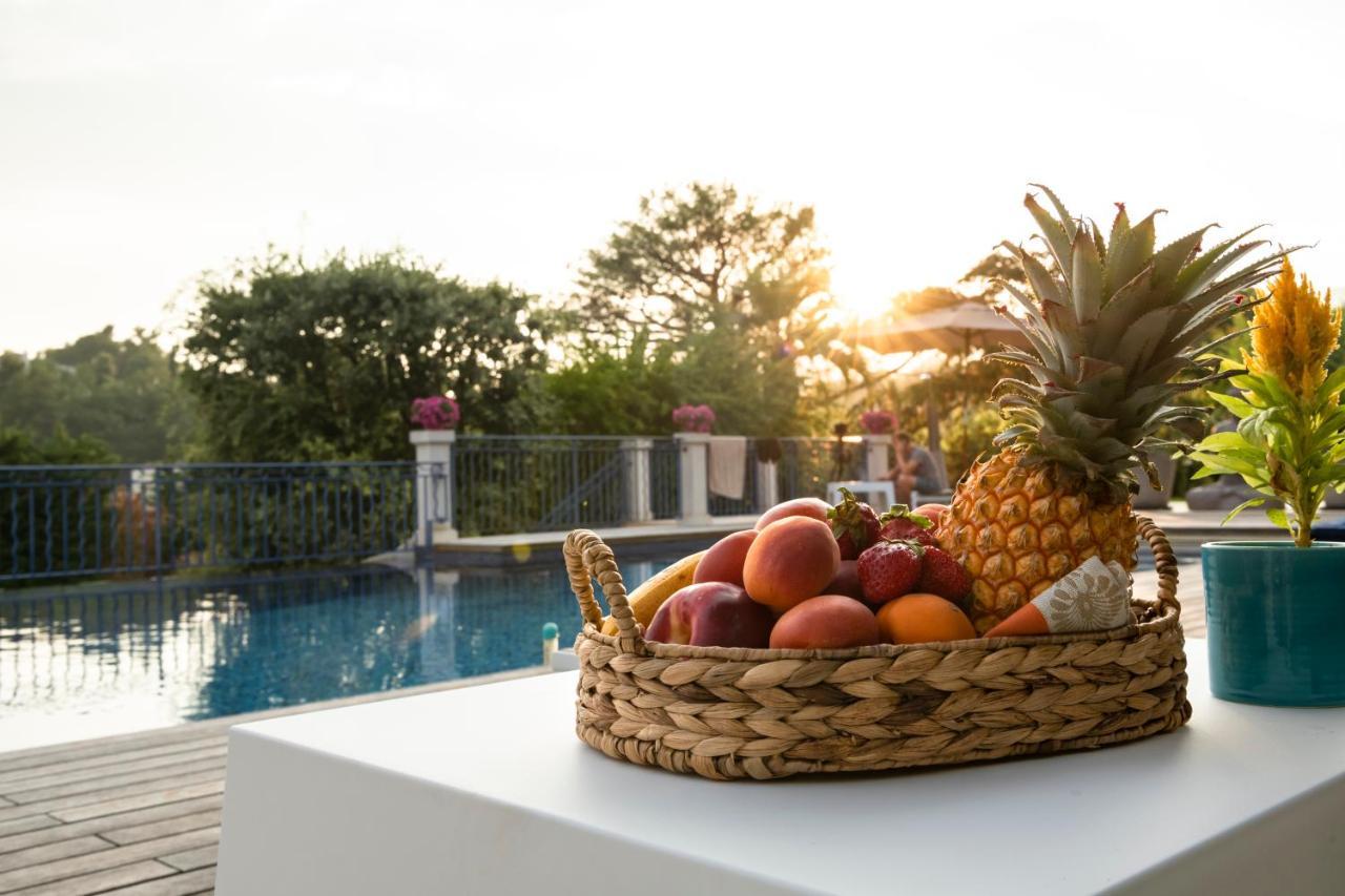 Terre De Reve Bed and Breakfast Le Rouret Buitenkant foto